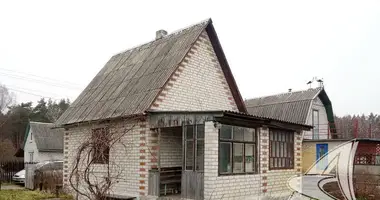 House in Cerninski sielski Saviet, Belarus
