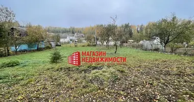 Участок земли в Подлабенский сельский Совет, Беларусь