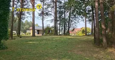 Plot of land in Hajnienski sielski Saviet, Belarus