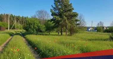 Działka w Usiazski sielski Saviet, Białoruś