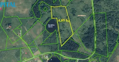 Grundstück in Rokischken, Litauen