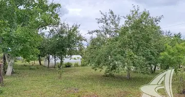 Участок земли в Мухавецкий сельский Совет, Беларусь