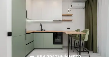 2 room apartment in Minsk, Belarus