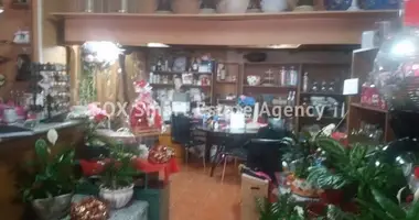 Магазин 100 м² в Като Полемидия, Кипр