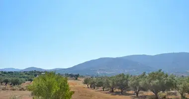Parcela en Markopoulo, Grecia