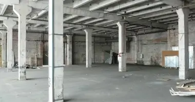 Gewerbefläche 330 m² in Riga, Lettland