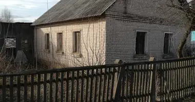 House in Orsha District, Belarus