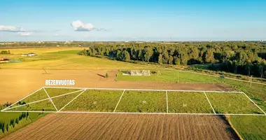 Terrain dans Voveriskiai, Lituanie