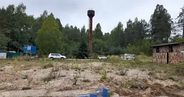 Zakład produkcyjny w rejon miński, Białoruś