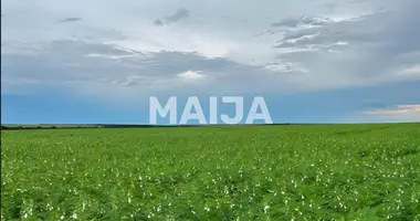 Działka w Regiao Geografica Imediata de Alta Floresta, Brazylia