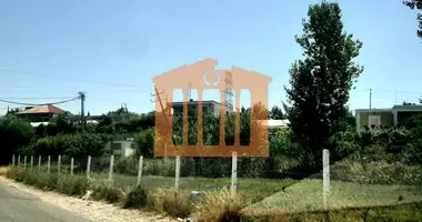 Parcela en Bashkia Durres, Albania