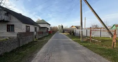 Дом в Михановичи, Беларусь