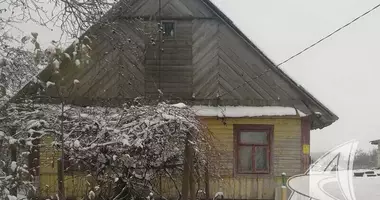 House in Kamenets District, Belarus