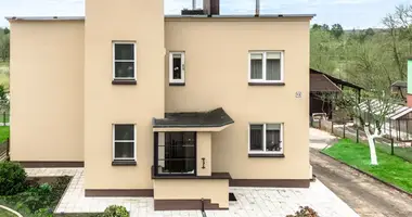 Haus in Akmenen, Litauen