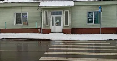 Maison dans Slonim, Bélarus