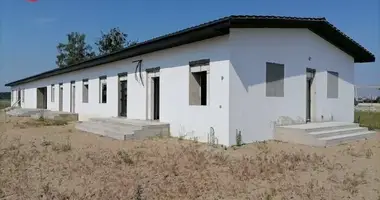 Warehouse 1 room in Mialnova, Belarus