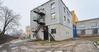 Manufacture 632 m² in Minsk, Belarus