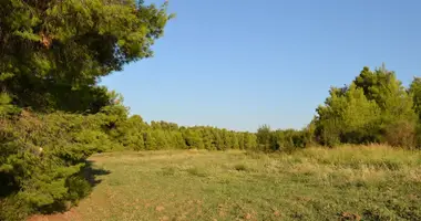 Terrain dans Siviri, Grèce