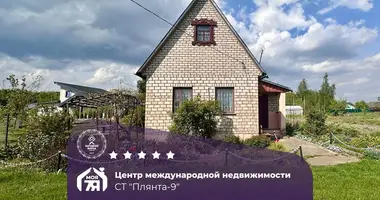 House in Krasnadvorski sielski Saviet, Belarus