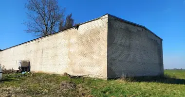 Propriété commerciale 626 m² dans Zuklijai, Lituanie