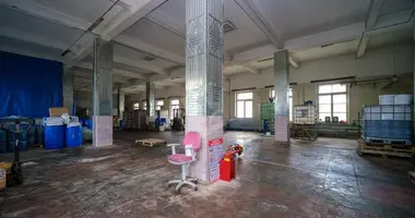 Magazyn 729 m² w Stańków, Białoruś