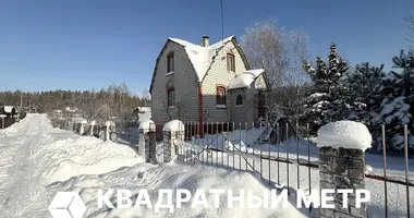 House in Rakauski sielski Saviet, Belarus
