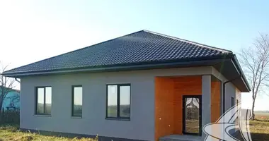 Haus in Zabinkauski sielski Saviet, Belarus
