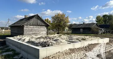 Участок земли в Большие Радваничи, Беларусь