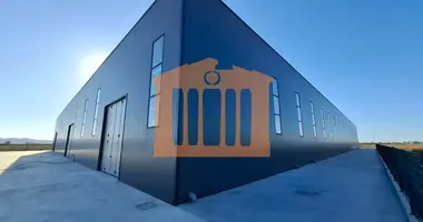 Almacén 5 000 m² en Bashkia Durres, Albania