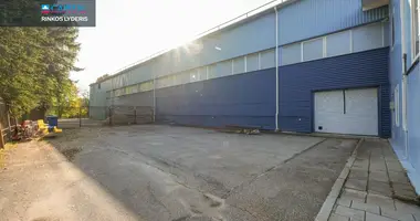Коммерческое помещение 1 300 м² в Паневежис, Литва