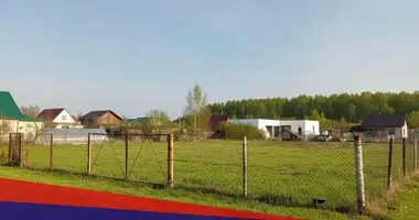 Plot of land in Samachvalavicki sielski Saviet, Belarus
