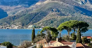 Apartamento 1 habitacion en Tivat, Montenegro