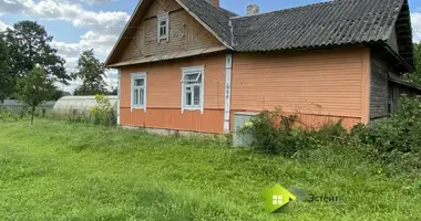 Haus in Mizevicy, Belarus