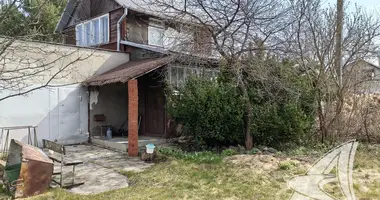 Дом — Мухавецкий сельский Совет, Беларусь