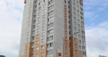 2 room apartment in Minsk, Belarus