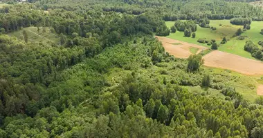 Plot of land in Barzdziunai, Lithuania