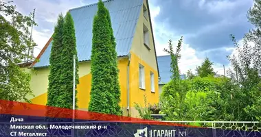 House in Aliachnovicki sielski Saviet, Belarus