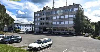 Propriété commerciale 2 547 m² dans Niasvij, Bélarus