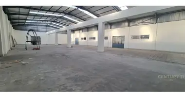 Entrepôt 1 000 m² dans Tirana, Albanie