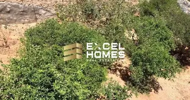 5 bedroom house in Birżebbuġa, Malta