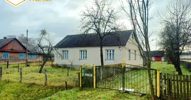 Haus in Dzivin, Belarus