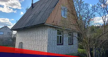 House in Usiazski sielski Saviet, Belarus