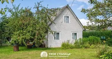 3 room house in Astrosycki sielski Saviet, Belarus