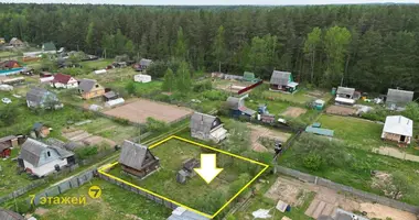 Дом в Гливинский сельский Совет, Беларусь