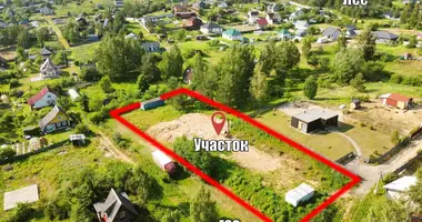 Plot of land in Ozyaritska-Slabadski rural council, Belarus