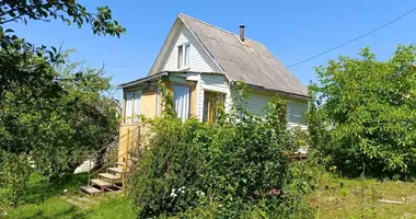 House in Rakauski sielski Saviet, Belarus