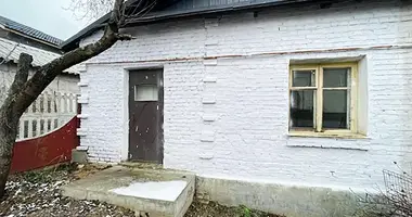  в Минск, Беларусь