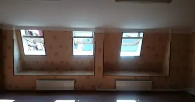 Propiedad comercial 480 m² en Sukhyi Lyman, Ucrania