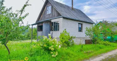 Дом в Озерицко-Слободской сельский Совет, Беларусь