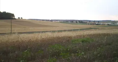 Terrain dans Kassandra Municipality, Grèce